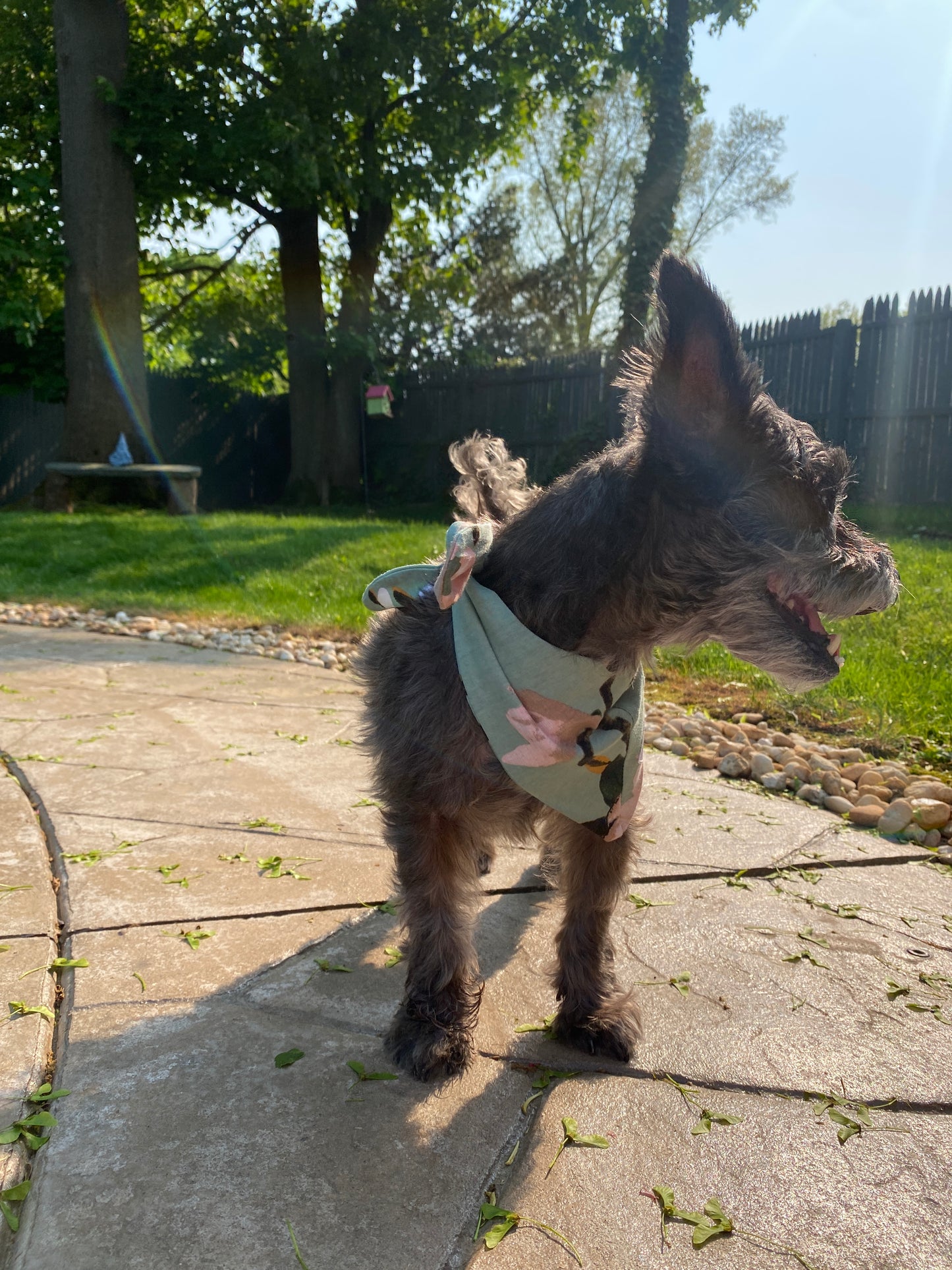 Gia Pet Bandana