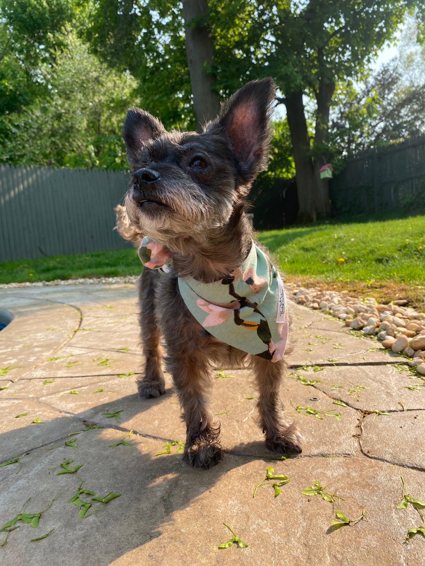 Gia Pet Bandana