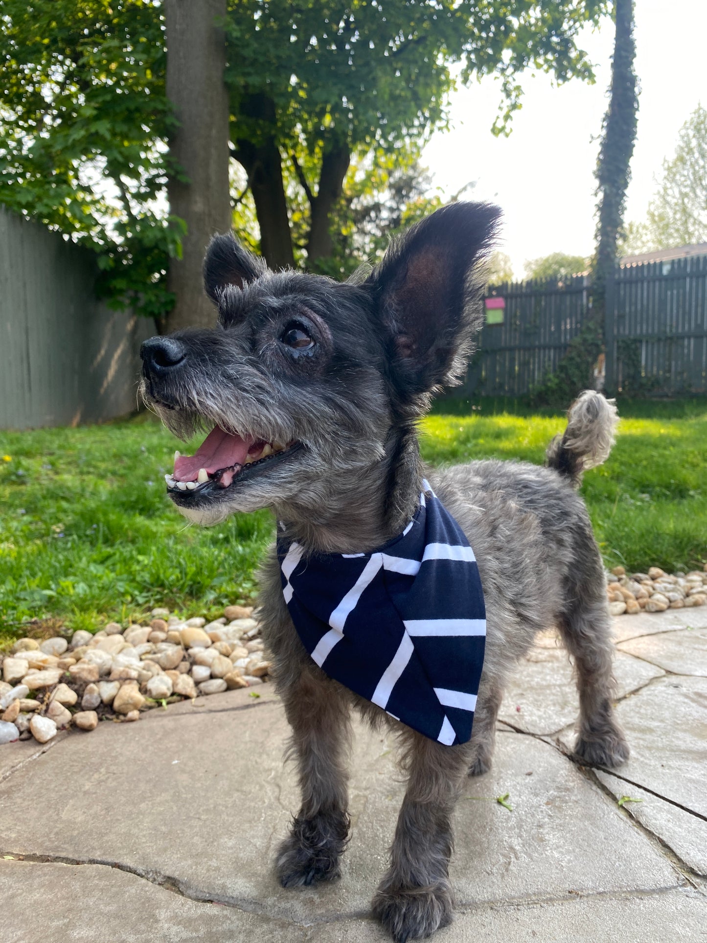 Navy Stripe Pet Bandana