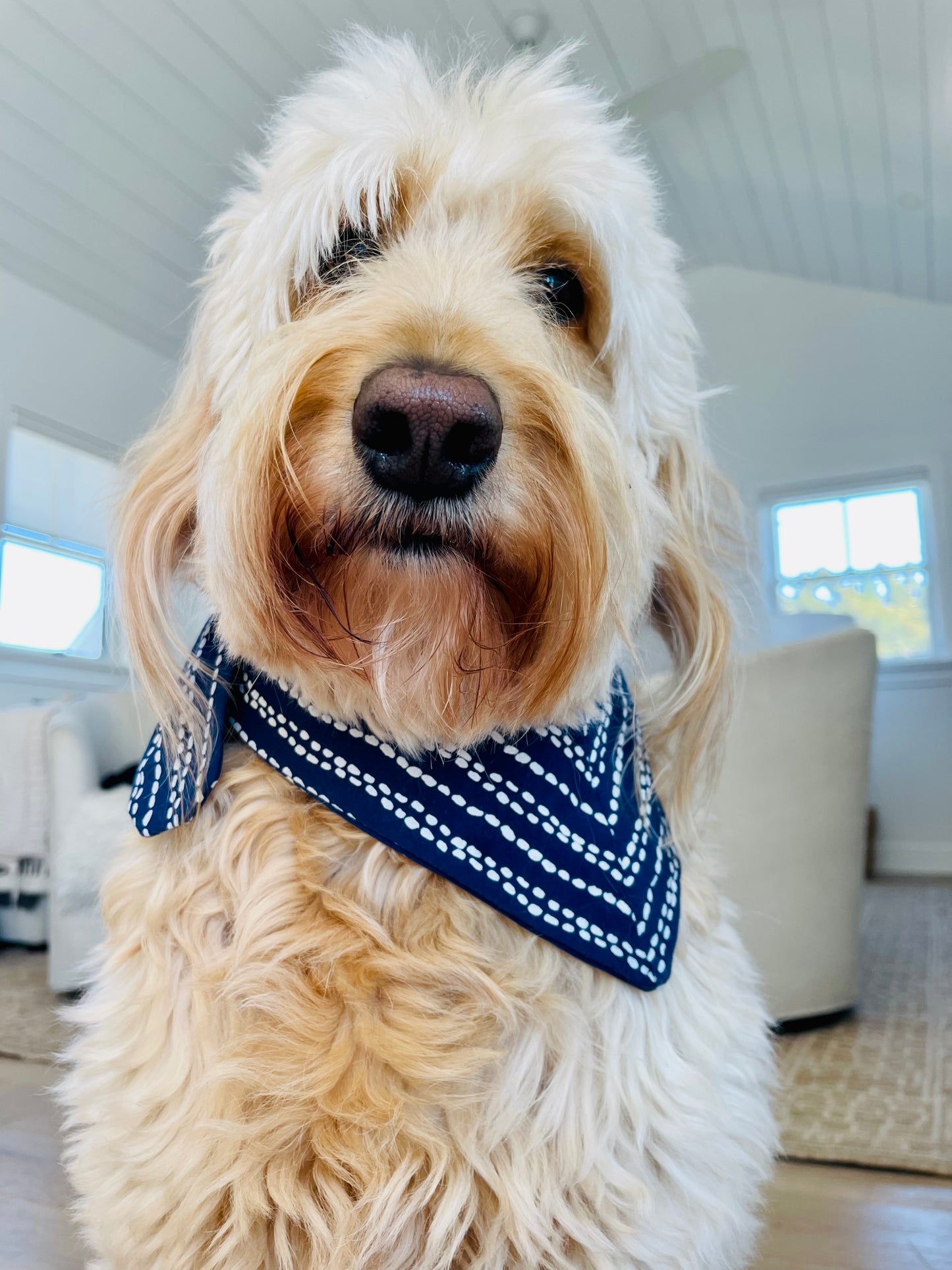 Luna Pet Bandana