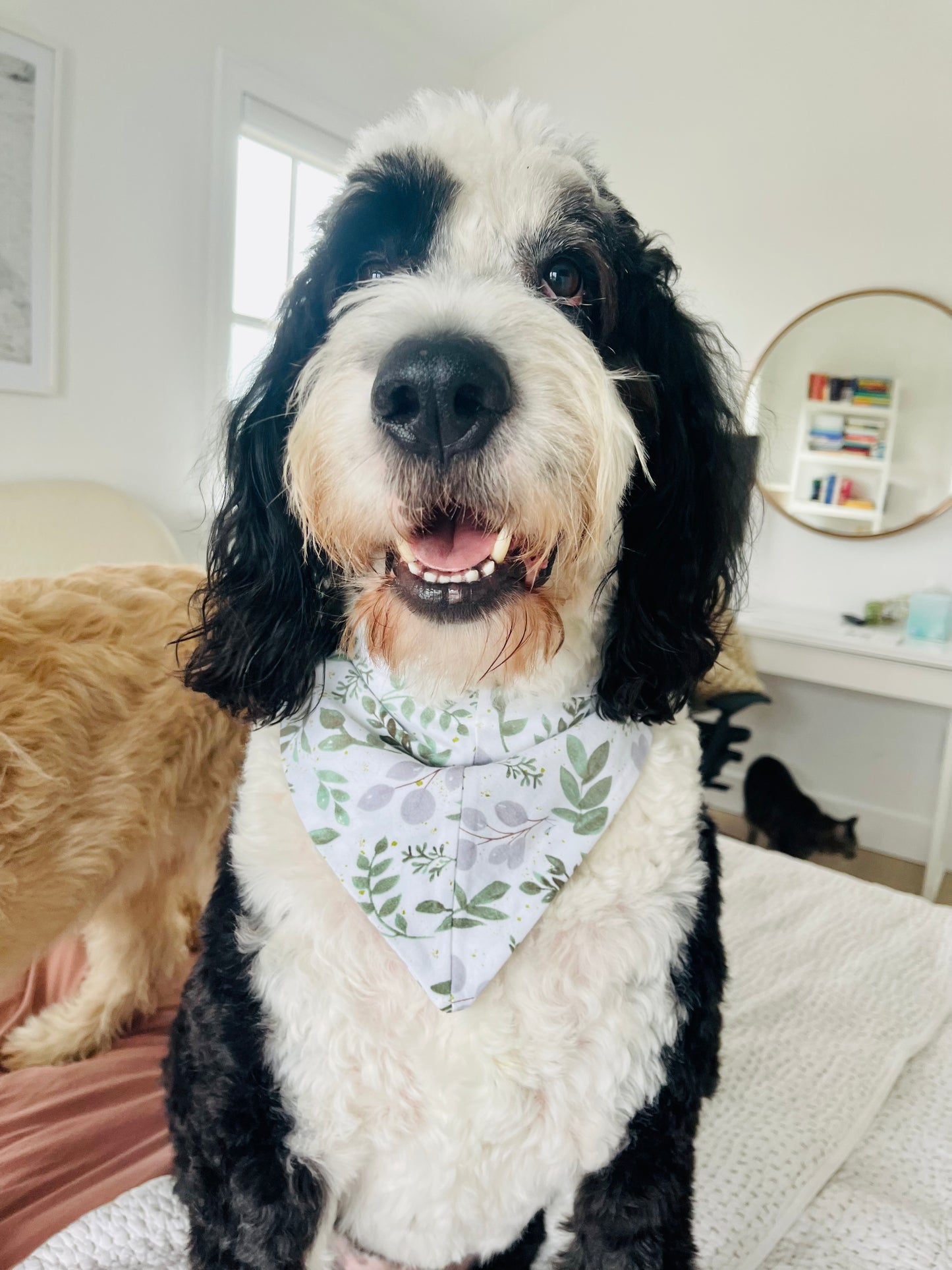 Morgan Pet Bandana