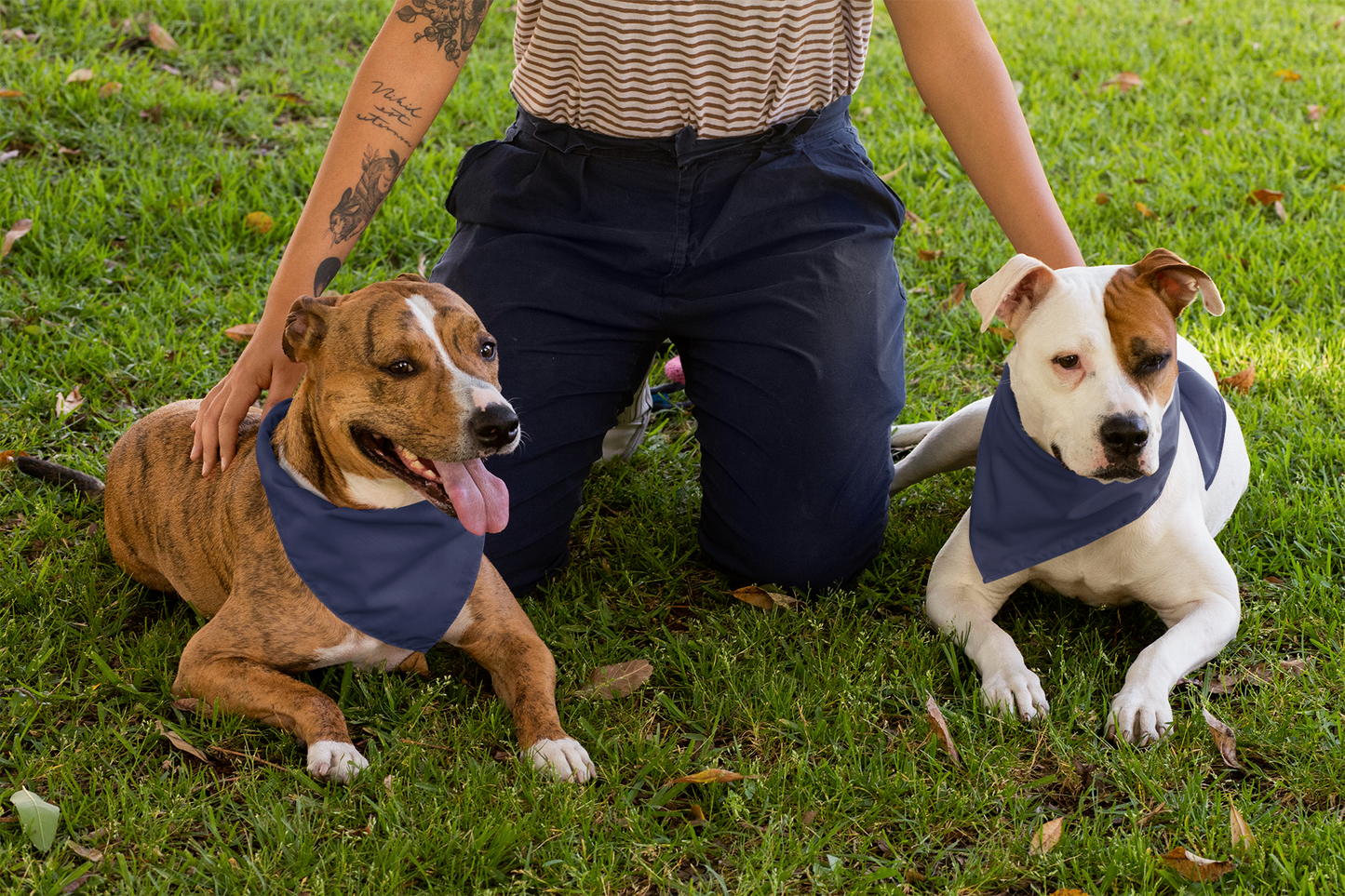 Navy Pet Bandana