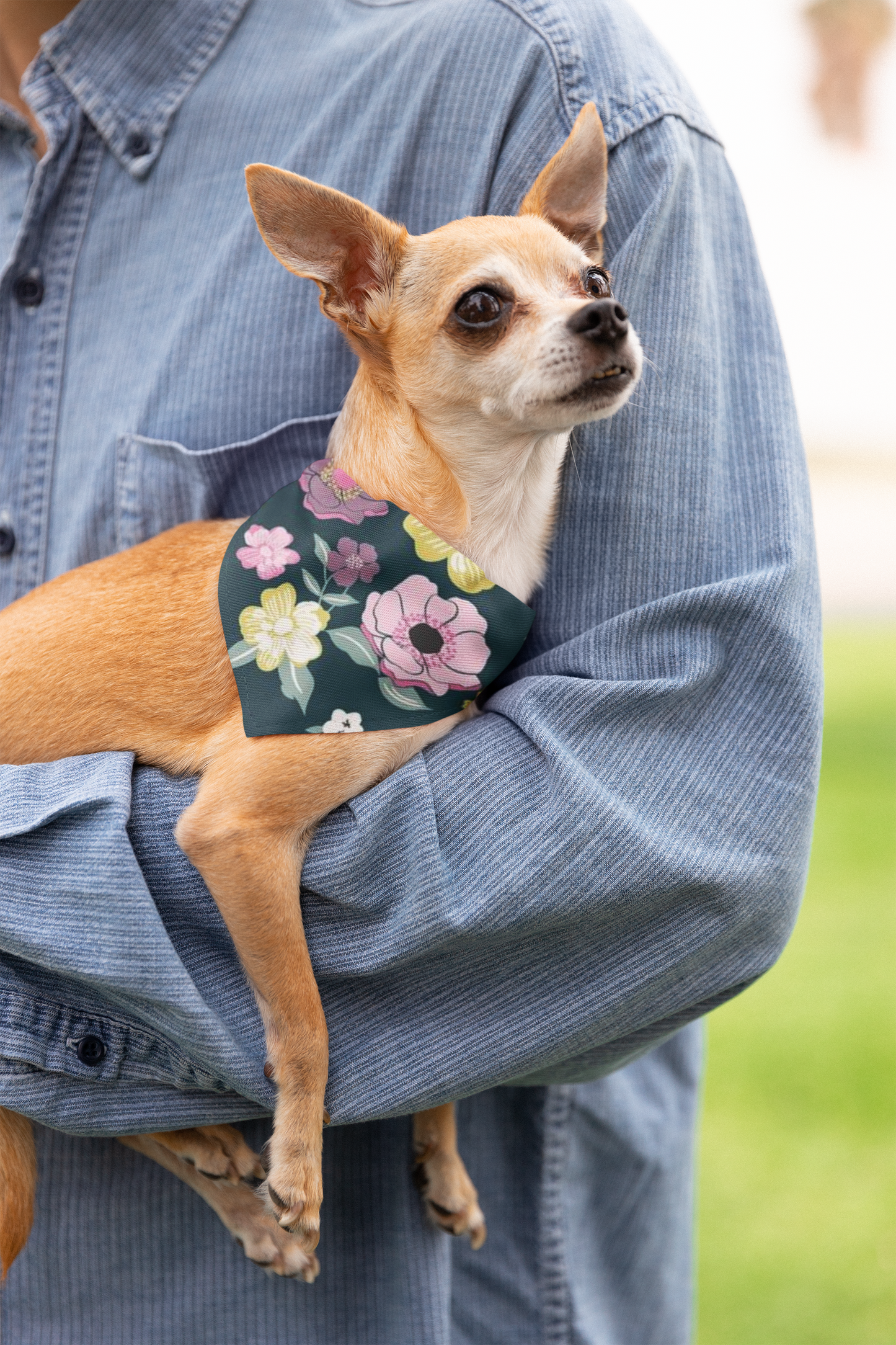 Charlotte Pet Bandana