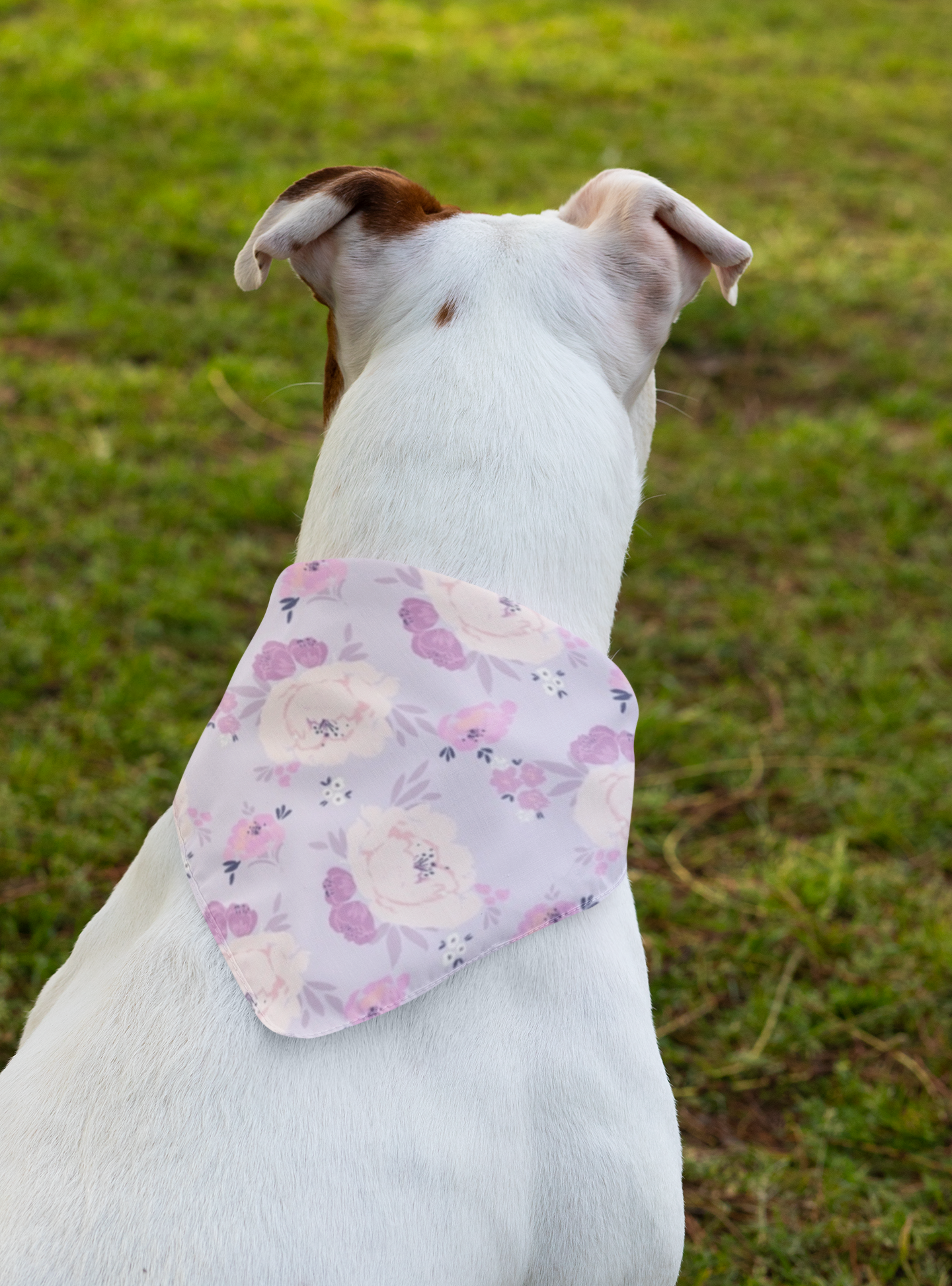 Anais Pet Bandana