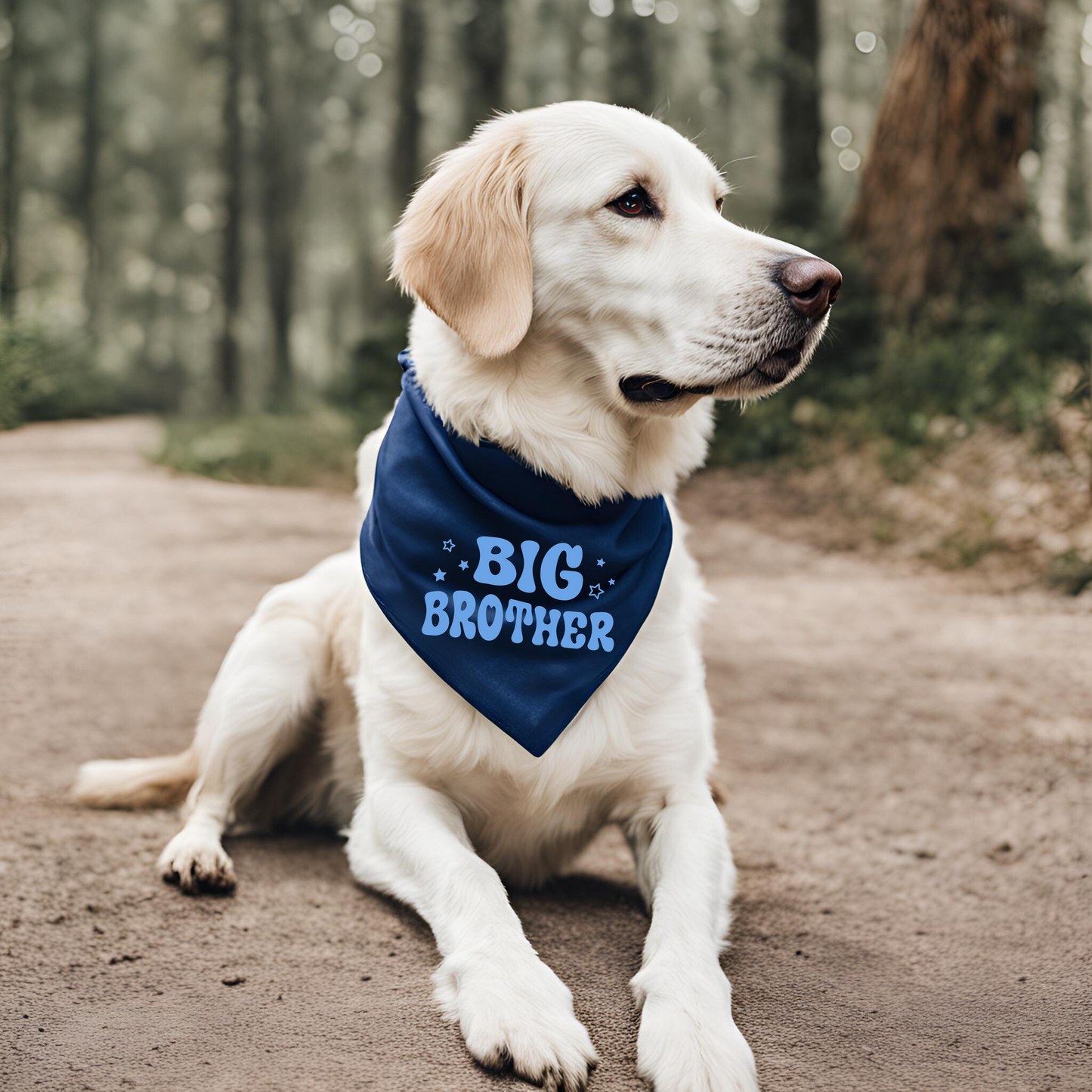 Matching Little Brother T-Shirt & Matching Big Sibling Pet Bandana - Bestie Set