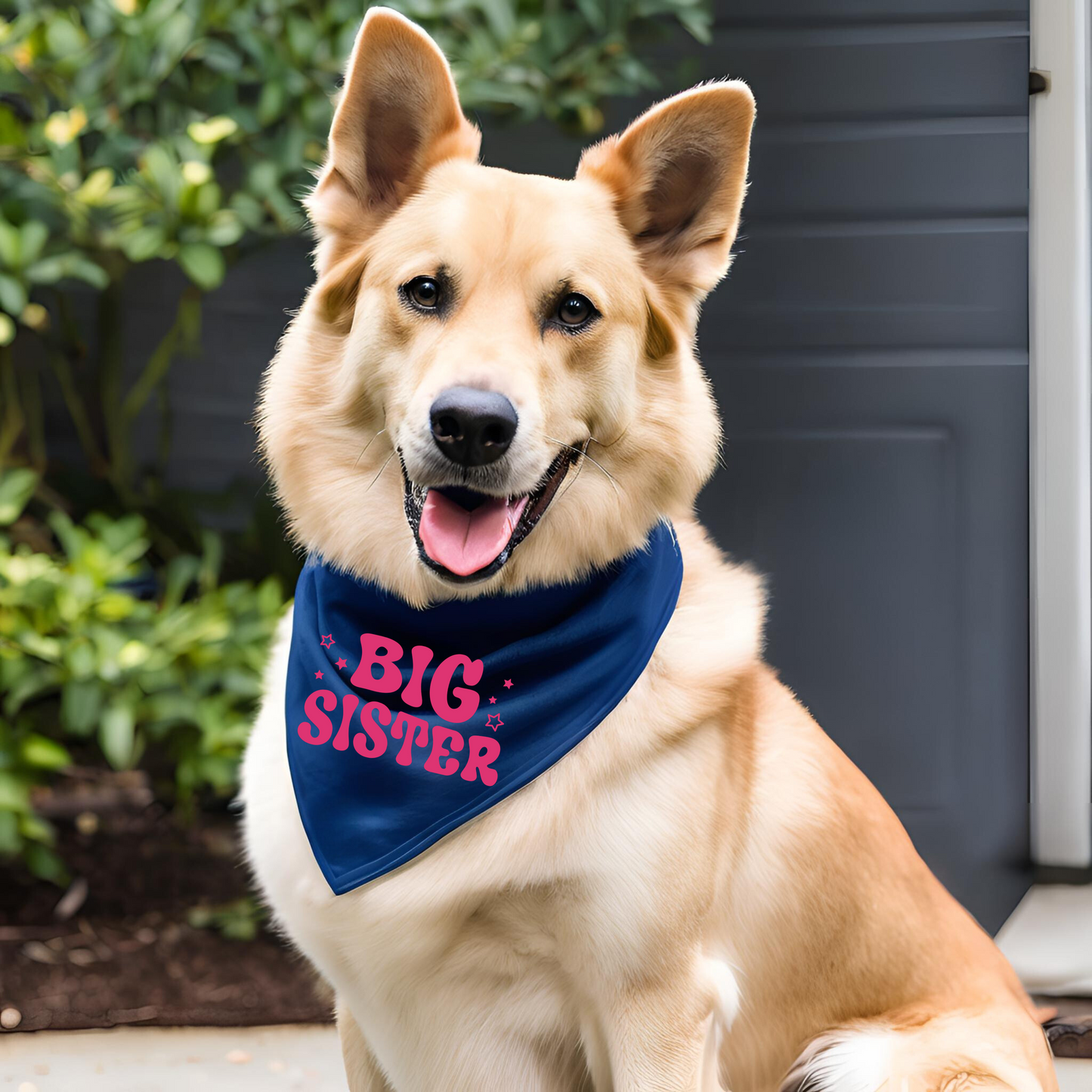 Matching Little Brother T-Shirt & Matching Big Sibling Pet Bandana - Bestie Set