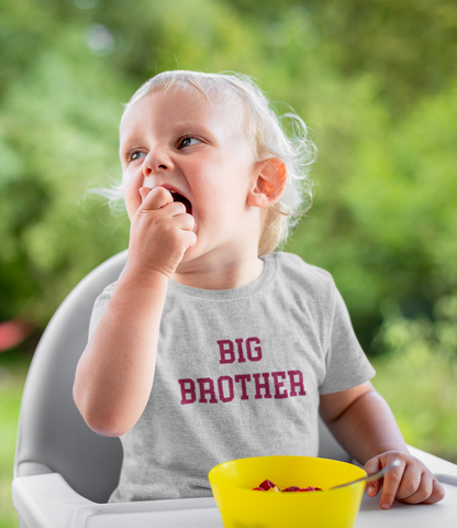 Merlot Robe & Matching Swaddle & Dad T-Shirt & Big Brother T-Shirt Set